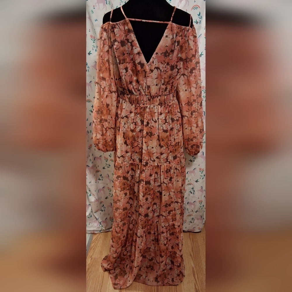 NWOT Reved Pink Floral Romantic Cottage Boho Sheer Long Sleeve Maxi Dress SZ L - Picture 3 of 7